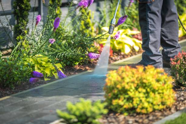 Best Post-Construction Pressure Washing  in Landisville, PA